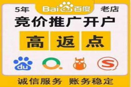 SEM外包助力品牌增长案例解析
